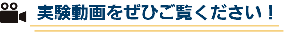 実験動画をぜひご覧ください！